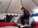carloSSSS torooo carloSSSS torooo