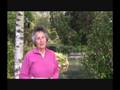 videos de Arbres remarquables