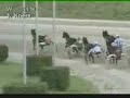 Yolly Tolli T Harness-racing Holland