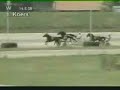Yolly Tolli T Harness-racing Holland