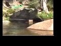 Australian low-head micro-hydro