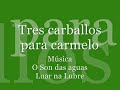 tres carballos para carmelo