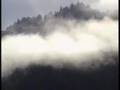 Bigfoot Documentary Part 1: Ancient Mysteries
