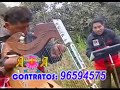 Alcanforcita de Huayana y los Picaros de la Jarana [ mañana cuando me vaya ]