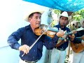 Trio Calamar (La muerte)
