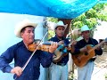 Trio Calamar (La muerte)