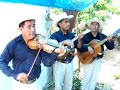 Trio Calamar (La muerte)