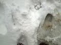 Nevada Pembes Li�bana