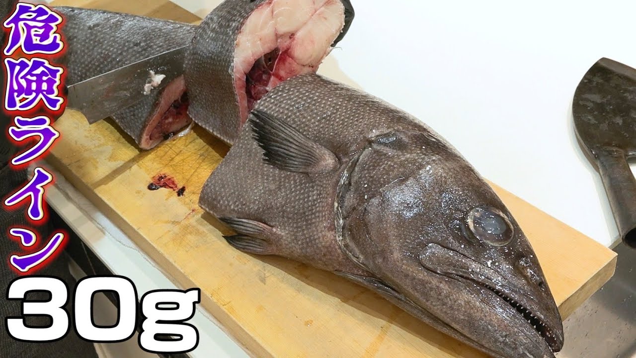 動画1