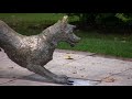 Video Tour of the Irvington Neighborhood in Portland, Oregon