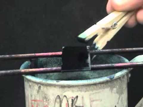 how to perform endospore stain