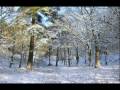 Winter Wonderland on Soprano Sax