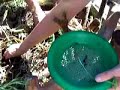 Espiral de Ervas Medicinais - Permacultura / Tubar�o/SC