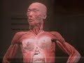 bodies-the-exhibition.html