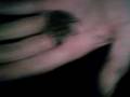 Nathan Eats A Frog