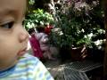 videos de Abiyoso Conservatory 049.MPG