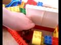 videos de parcours hamster race