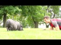 See Video