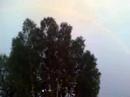 12082007017