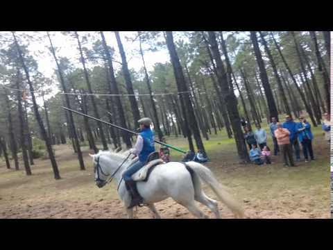 Fiestas San Isidro 2016