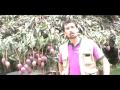 Árboles frutales - Mango
