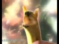 Toby Loituma