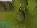 Runscape house
