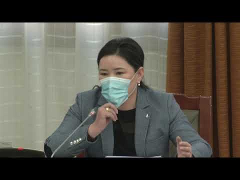 НӨАТ-ын буцаан олголтын хувь хэмжээг нэмэгдүүлэх хуулийн төсөл өргөн барив