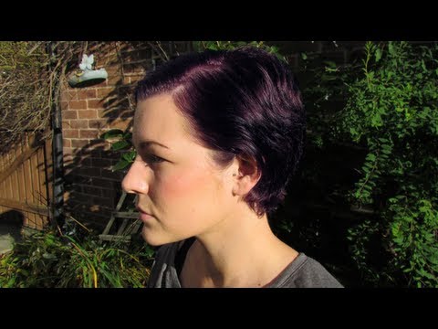 how to dye guinea pigs hair