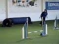 Agility Meeting Bad Ragaz Agility Meeting Bad Ragaz