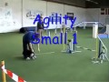 Agility Meeting Bad Ragaz