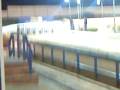 videos de greyhound trial
