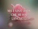 Ivano Conti - Rosa da cercare Ivano Conti - Rosa da cercare