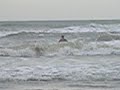 sof a la mer
