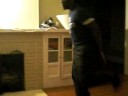 Dirty Dancing..A-dale style