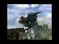 the hunt