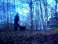 videos de Una a.k.a thug lady(american pitbull terrier)