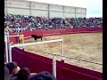 Toro Enmaromado 2008 Benavente. Concurso de Cortes. Toro Enmaromado 2008 Benavente. Concurso de Cortes.