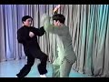 Xingyiquan ??? An Shenpao (Master Shouyu Liang & Sam Masich) Xingyiquan ??? An Shenpao (Master Shouyu Liang & Sam Masich)