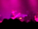 Kings of Leon 