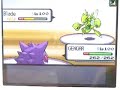 Wifi Battle # 07: Backfall Genius vs LOCO (zomg luck hax) Wifi Battle # 07: Backfall Genius vs LOCO (zomg luck hax)