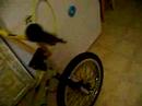 mirraco bikes