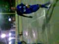 videos de Luan love