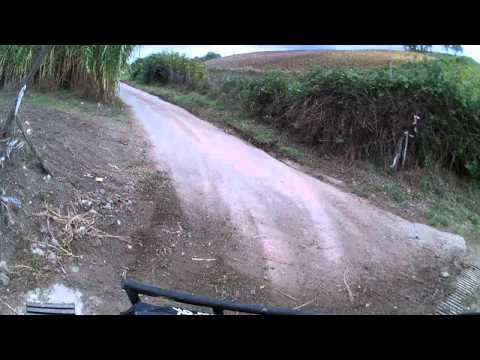 Guarda il video