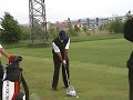 Tiger woods