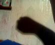 System of a Down Chop Suey Shadow Puppet