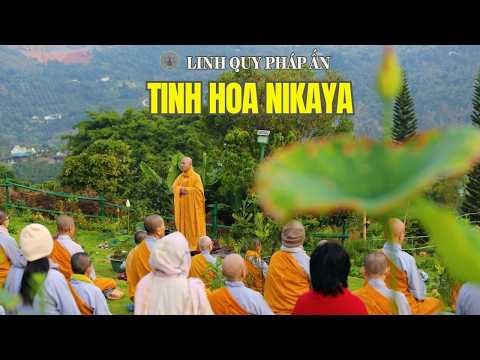 Tinh Hoa NIKAYA - Giá Trị Của Pháp Cung Kính 1 *