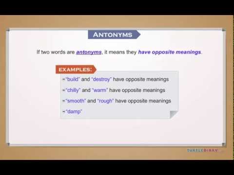 What are Antonyms? *Grammar for Kids*