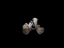 Water Zorse Spore Creature Creator