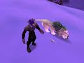 Leoin\ Leoin\